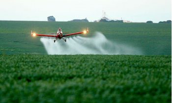 Governo libera o registro de 22 agrotóxicos genéricos para uso dos agricultores